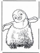 Emperor Penguin Coloring Page For Kids  Pages sketch template