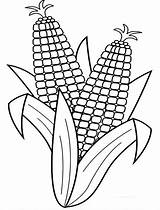 Tractor Harvesting Corn Coloring Pages sketch template