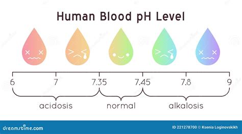 Human Blood PH Scale Vector Diagram Stock Vector - Illustration of heart, bank: 221278700