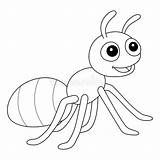 Ant Coloring Page Stock Illustrations – 288  sketch template