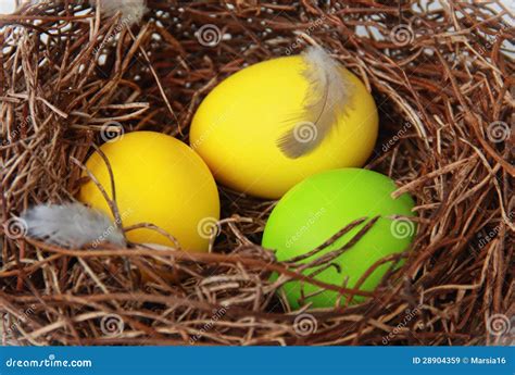 Nest with easter eggs stock image. Image of design, congratulation - 28904359