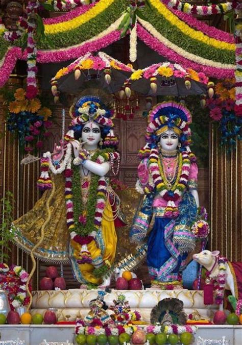 Beautiful Gopastami Darshan of Sri Sri Radha Govinda at ISKCON ...