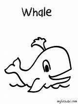 Whale Coloring Pages For Adults sketch template
