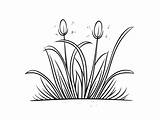 Grass Coloring Page For Kids  Free Printable Drawing sketch template