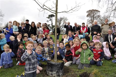 Civic Square Oak planting day | An oak tree was planted in H… | Flickr