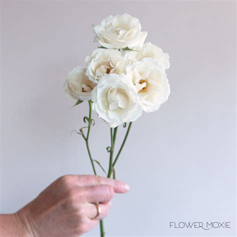 White Flowers | Bulk Fresh Wedding Flowers Online | Flower Moxie