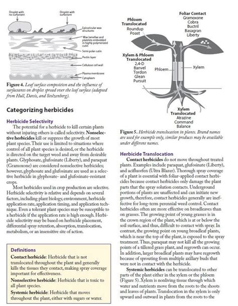 Agronomy eUpdate March 11th, 2021 : Issue 843