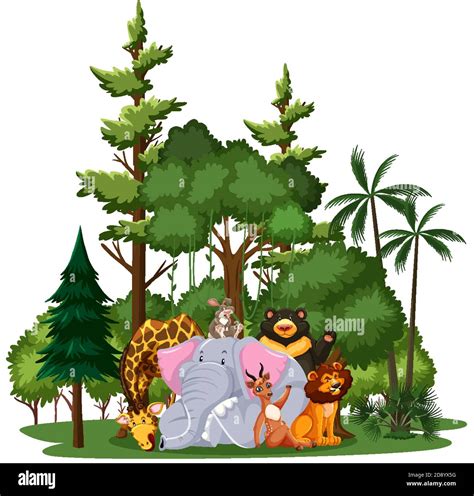 Wild animal or zoo animal group with nature elements on white ...