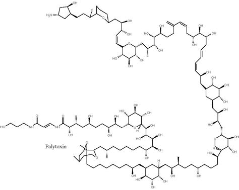 Marine Drugs | Free Full-Text | Cephalopods as Vectors of Harmful Algal ...