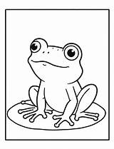 35 Frog Coloring Pages Cute Free Sheets sketch template