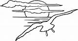 Dibujo De Gaviota Vuela Hacia La puesta Del Sol Para Colorear  Dibujos sketch template