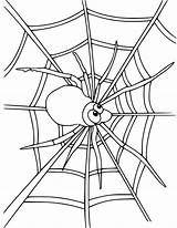 Spider On Web 3 Coloring Page  Free Printable Pages sketch template