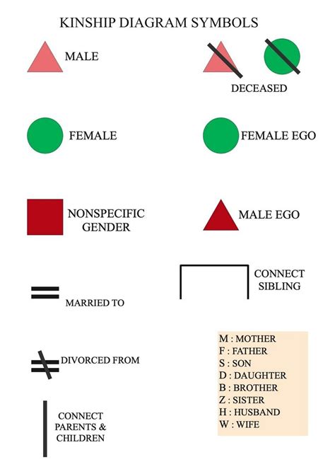 What Is A Kinship Chart? | EdrawMax Online