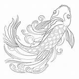Japanese Koi Fish Coloring Pages  Mimi Panda sketch template