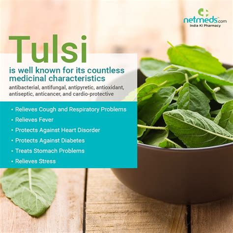 Queen of Herbs: Tulsi - Health Tip