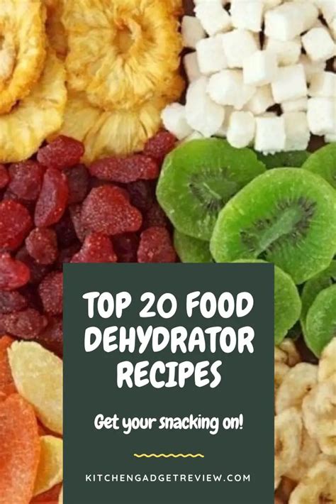 Dehydrated Food Recipes: Top 20 (Fruit, Veggies, Spice, Meat & More)