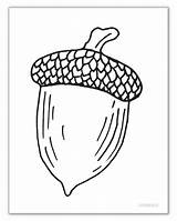 Printable Coloring Acorns Pages sketch template