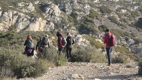 The most beautiful hikes in the Calanques | Marseille Tourism