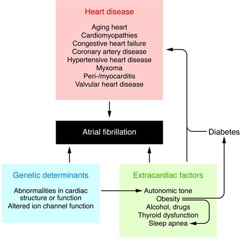 Causes of Atrial Fibrillation Heart disease - Aging ... | GrepMed