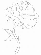 Single Rose Tracing coloring Page  Download Print Or Color Online For sketch template