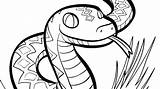 Garter Snake Drawing  Free Download On ClipArtMag sketch template
