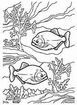 Piranha Coloring Petey Mario Plant Pages Super Drawing Color  sketch template