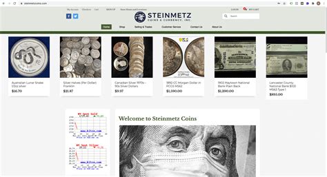 steinmetzcoins.com – York Web Technologies