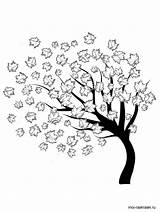Maple Tree Coloring Pages sketch template