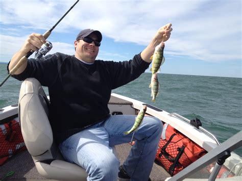 Great perch fishing on Lake Erie! - Lake Erie Buffalo NY Fishing Charters