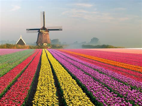 20 Real-World Places That Are Straight Out of Fairy Tales in 2020 | Tulip fields netherlands ...