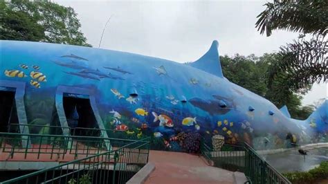 Aquarium Fishes at Vandalur Zoo - YouTube