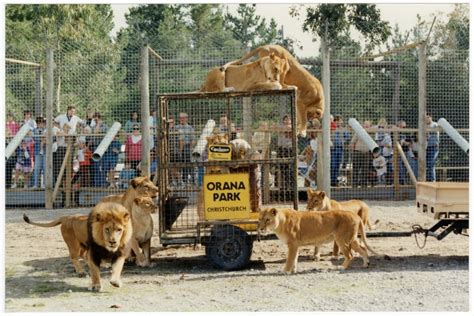 Orana Wildlife Park in Christchurch