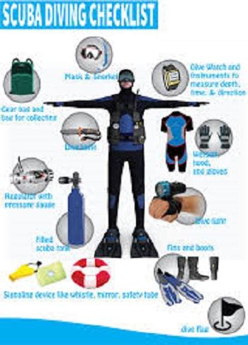 Gear Checks: How to Clean and Maintain Your Dive Gear