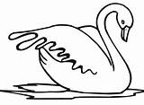 Swan Coloring Pages To Print sketch template