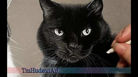 How to draw a realistic black cat in charcoal - tutorial - YouTube