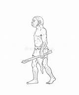 Homo Sapiens Coloring Pages sketch template