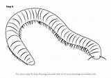 Millipede Coloring Pages sketch template