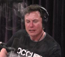 Elon Musk GIFs - Find & Share on GIPHY