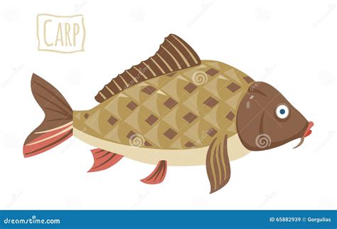 Carp, Vector Cartoon Illustration Stock Vector - Illustration of white, ocean: 65882939