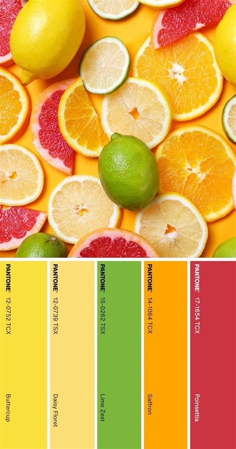 Color Palette Yellow, Colour Pallette, Brand Colour Schemes, Color ...