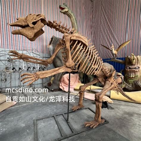 Megatherium Skeleton Fossil Replica-SKR010