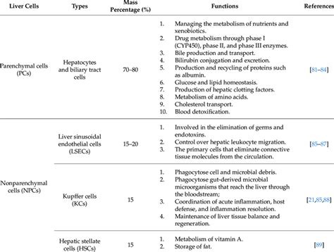 The liver cell types and their primary functions. | Download Scientific ...