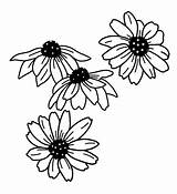 Four Daisies coloring Page  Download Print Or Color Online For Free sketch template