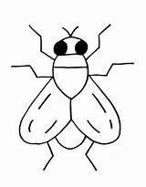 Insects Coloring Pages Free Printable PDF sketch template