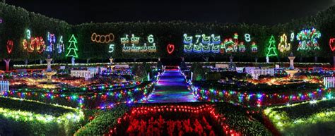 Hunter Valley Christmas Lights Tour $120 - Ozia Tours