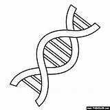 Dna Coloring Worksheet Printable Kids sketch template