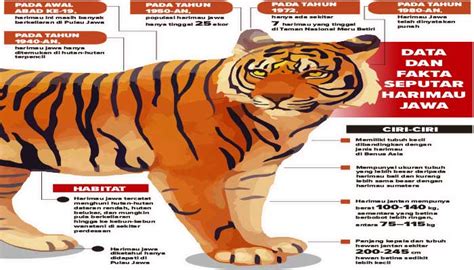 Kemunculan Harimau Jawa di Sukabumi, Antara Kenyataan dan Jelmaan | Radar Sukabumi