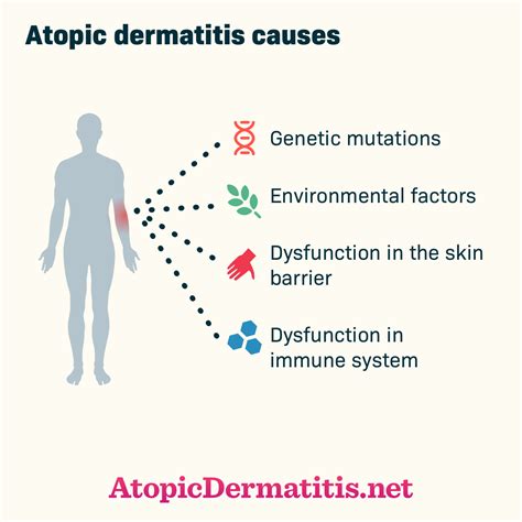 What Causes Atopic Dermatitis or Eczema?