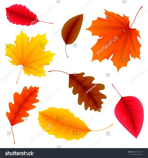 846,462 Red Leaf Stock Vectors, Images & Vector Art | Shutterstock