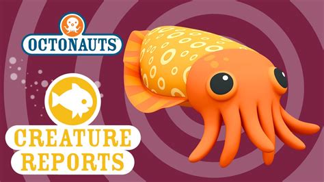 Octonauts: Creature Report - Cuttlefish - YouTube